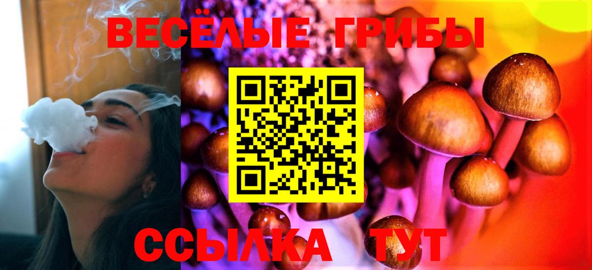 Псилоцибиновые грибы MAGIC MUSHROOMS Кореновск